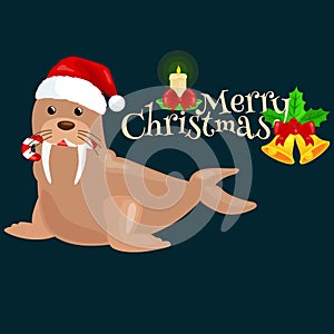 Christmas walrus in a cap and with a candy in your mouth is and enjoys in the New Year`s Eve and Christmas