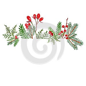 Christmas watercolor banner for cards. Hand drawn pine brances, red berries on white background. Winter evegreen plants