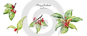 Christmas watercolor set of bouquet arrangings with berries and leaves