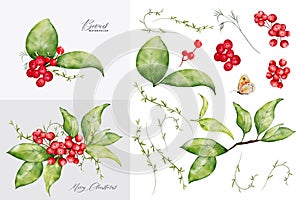 Christmas watercolor set of bouquet arrangings with berries and leaves