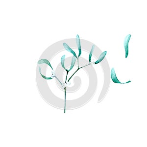 Christmas watercolor traditional greenery mistletoe isolated elemet with two single leaves