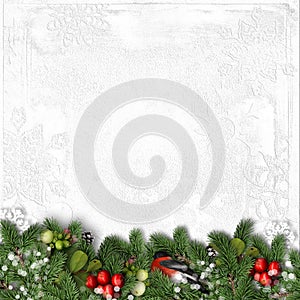 Christmas white background with bullfinch, holly and branches