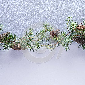 Christmas white background with fir branches with copy space