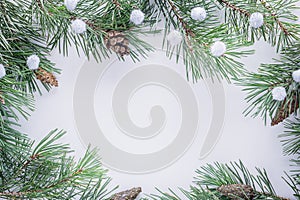 Christmas white background with fir branches. Frame made of fir tree branches with copy space