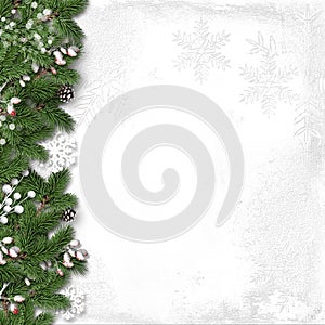 Christmas white background with holly and branches