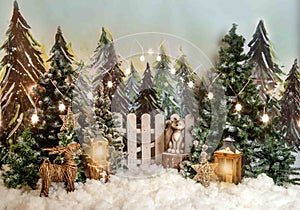 Christmas, winter backdrop for familly portraits and thematic photoshoots.