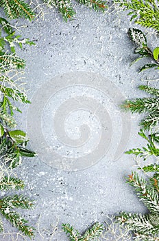 Christmas or winter background with a border of green and frosted evergreen branches on a grey vintage board. Flat lay