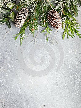Christmas or winter background with a border of green and frosted evergreen branches and pine cones on a grey vintage board. Flat