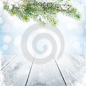 Christmas winter background with snow fir tree
