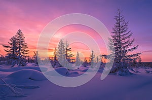 Christmas winter background with snow and trees.