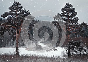 Christmas winter background with snow and trees