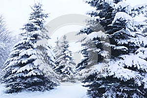 Christmas winter blurred background with garland lights, holiday festive background