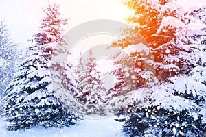 Christmas winter blurred background with garland lights, holiday festive background