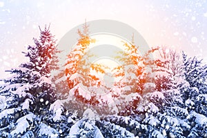 Christmas winter blurred background with garland lights, holiday festive background