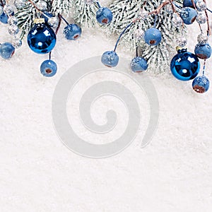 Christmas or winter composition with green Xmas tree twig and blue berries on white snow background