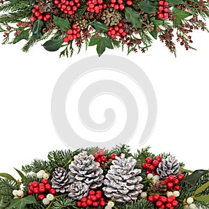 Christmas and Winter Floral Border