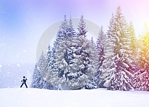 Christmas winter landscape