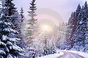 Christmas winter landscape