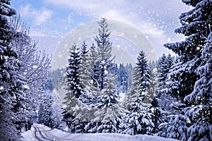 Christmas winter landscape