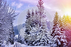 Christmas winter landscape