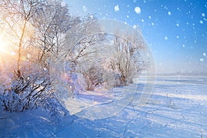 Christmas winter Landscape; Frozen lake and snowy trees