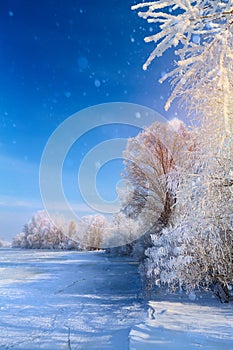 Christmas winter Landscape with Frozen lake and snowy trees