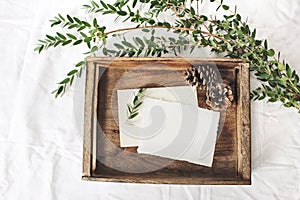 Christmas or winter wedding mock-up scene. Blank cotton paper greeting cards, old wooden tray, pine cones and green photo