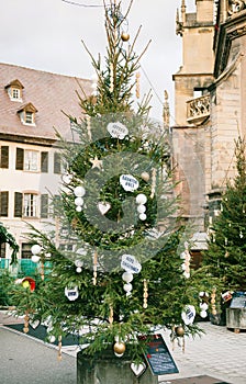 Christmas wishes in French language on the fir tree