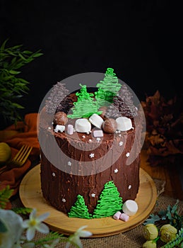 Christmas wonderland cake