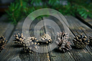 Christmas wooden background with ir tree and pinecones