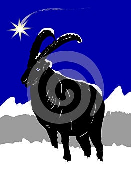 Christmas with ibex in the snow photo