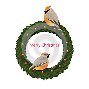 Christmas wreath with birds