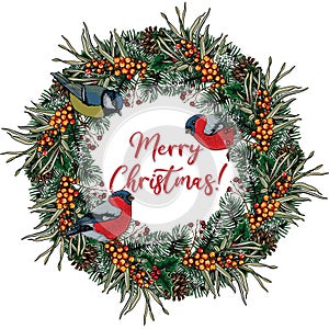 Christmas wreath of branches of a Christmas tree, cones, sea buckthorn, bullfinch birds and titmouse with the inscription Merry