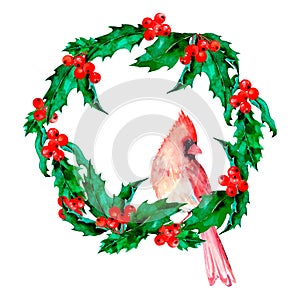 Christmas wreath green holly branches, red berries, winter bright cardinal bird. Round festive frame. Hand-drawn watercolor illust