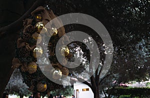 Christmas wreath hanging from trees photo