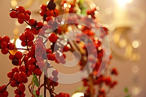 Christmas wreath