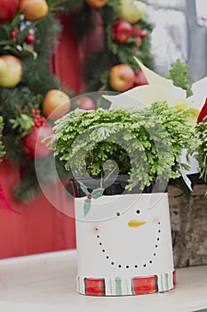 Christmas Wreath and Plant in Snowman Container