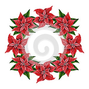 Christmas wreath with poinsettia flowers, hand drawn watercolor illustration isolated on white background. Floral illustration for