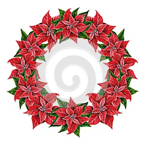 Christmas wreath with poinsettia flowers, hand drawn watercolor illustration isolated on white background. Round frame with floral