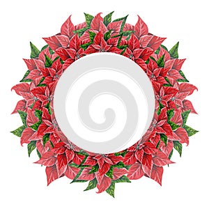 Christmas wreath with poinsettia flowers, hand drawn watercolor illustration isolated on white background. Round frame with floral