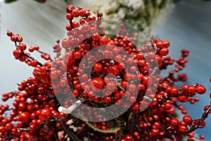 Christmas wreath of red berries as background photo