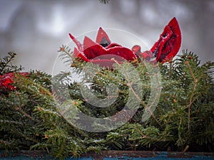 a christmas wreath with red bow and balls