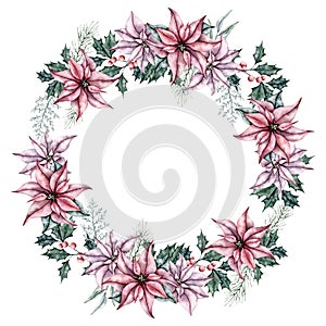 Christmas wreath of red poinsettia flower, eucalyptus, dusty miller, ilex, spruce branch, fir, cedar. Botanical Winter