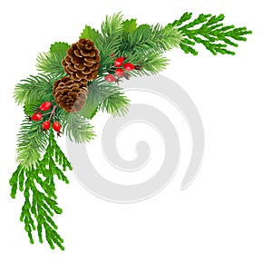 Christmas Wreath with winter berries and rose hips.Green garland with cones and berries. New Year decor.Eps 10