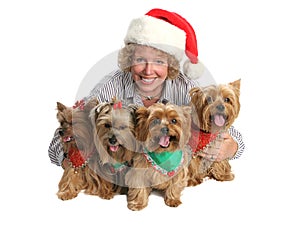 Christmas Yorkie Family Portrait