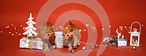 Christmaskittens. Two redheads kittens on red Christmas background of garland light, gifts, Christmas trees, Christmas