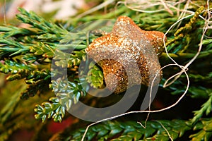 Christmass star