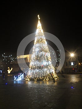 Christmass tree photo