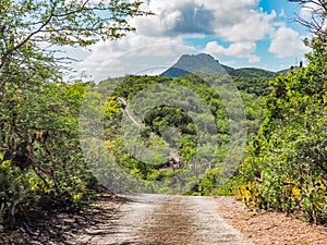 Christoffelberg mountain - Christoffel National Park Curacao Views