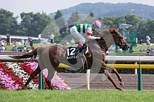 Christophe Lemaire at Tokyo Racecourse, Japan